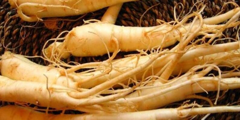 Ginseng Wuerzel fir d 