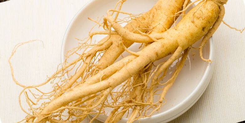 Ginseng fir d 