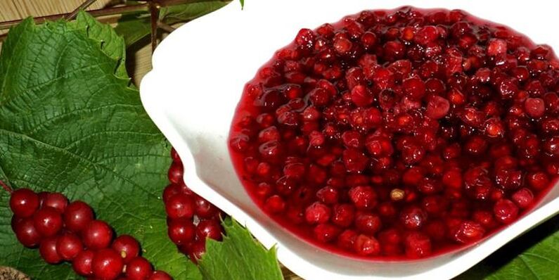 Schisandra fir d 